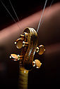 Filename=DSC_7531_00009~0.jpg
Filesize=700KiB
Dimensions=1068x1600
Date added=Jun 23, 2017 DSC_7531_00009~0.jpg